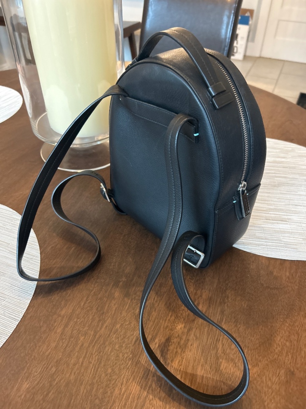 Tiffany and Co Backpack - Picture 3 of 11